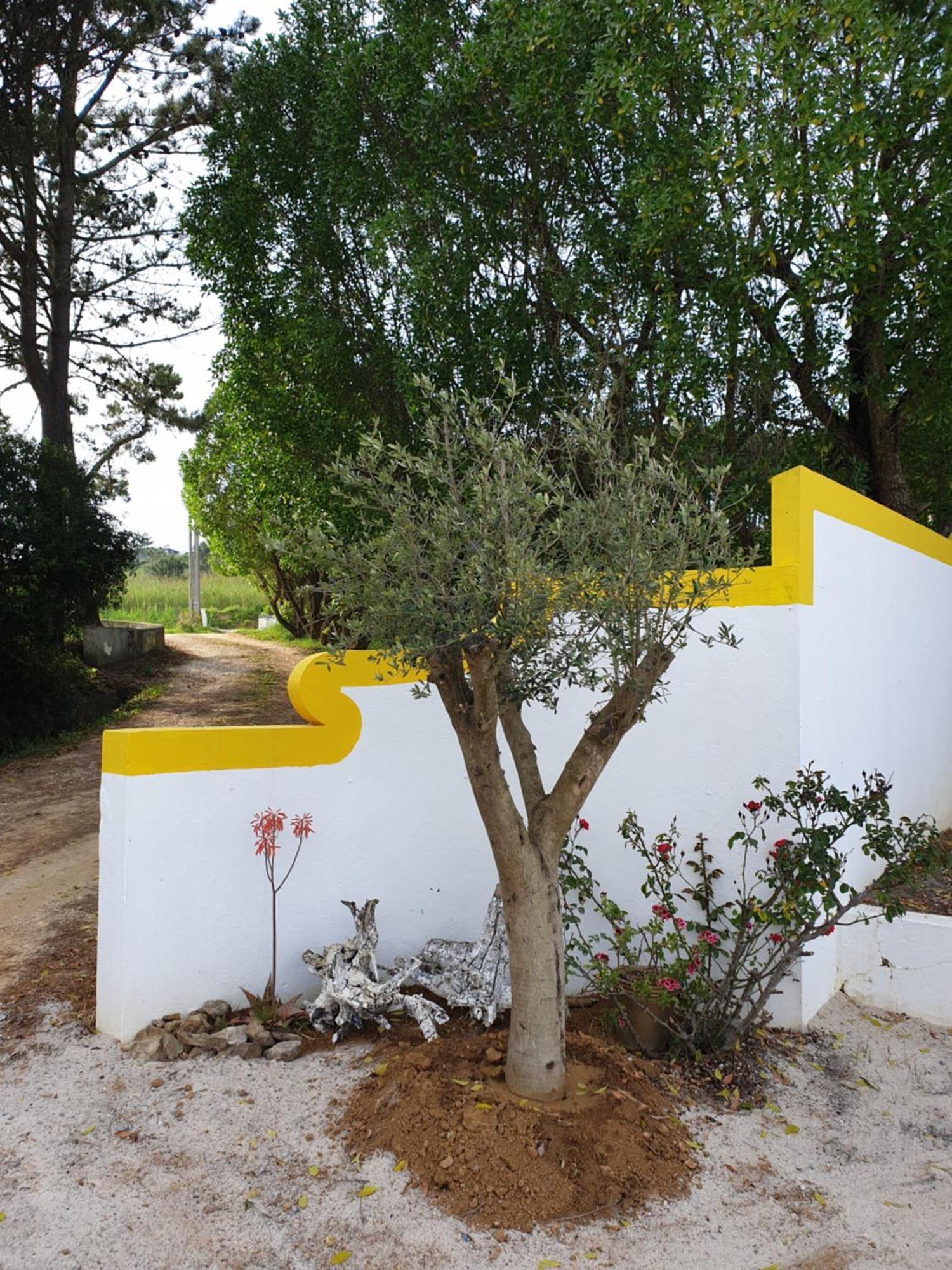 Sondela Self Catering Apartamento São Martinho do Porto Exterior foto